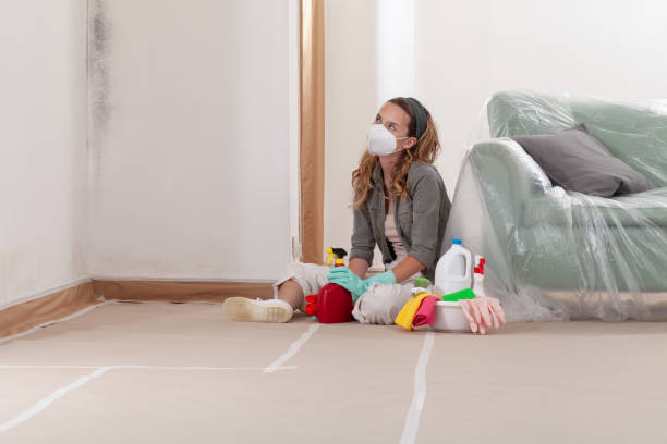 Reliable Mold Remediation contractor in Springfield, MI by Mold Remediation HQ